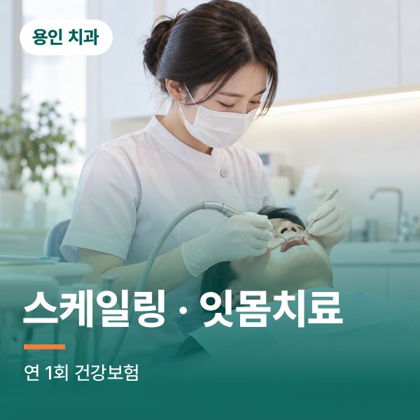 스케일링 · 잇몸치료